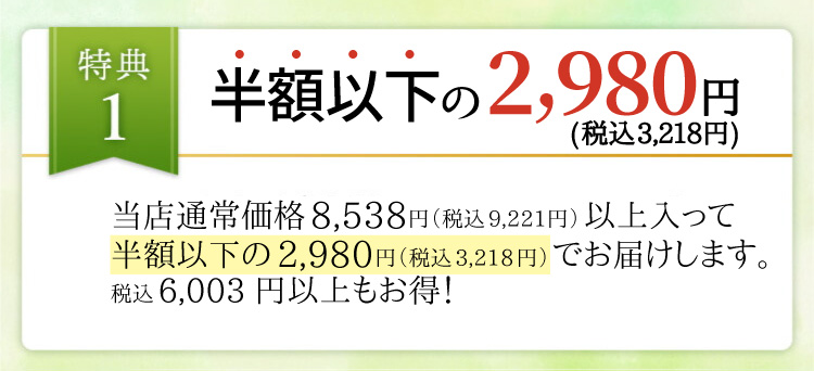 半額以下の2980円