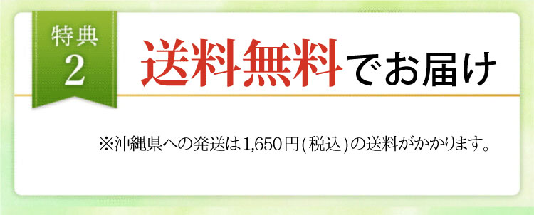 送料無料でお届け
