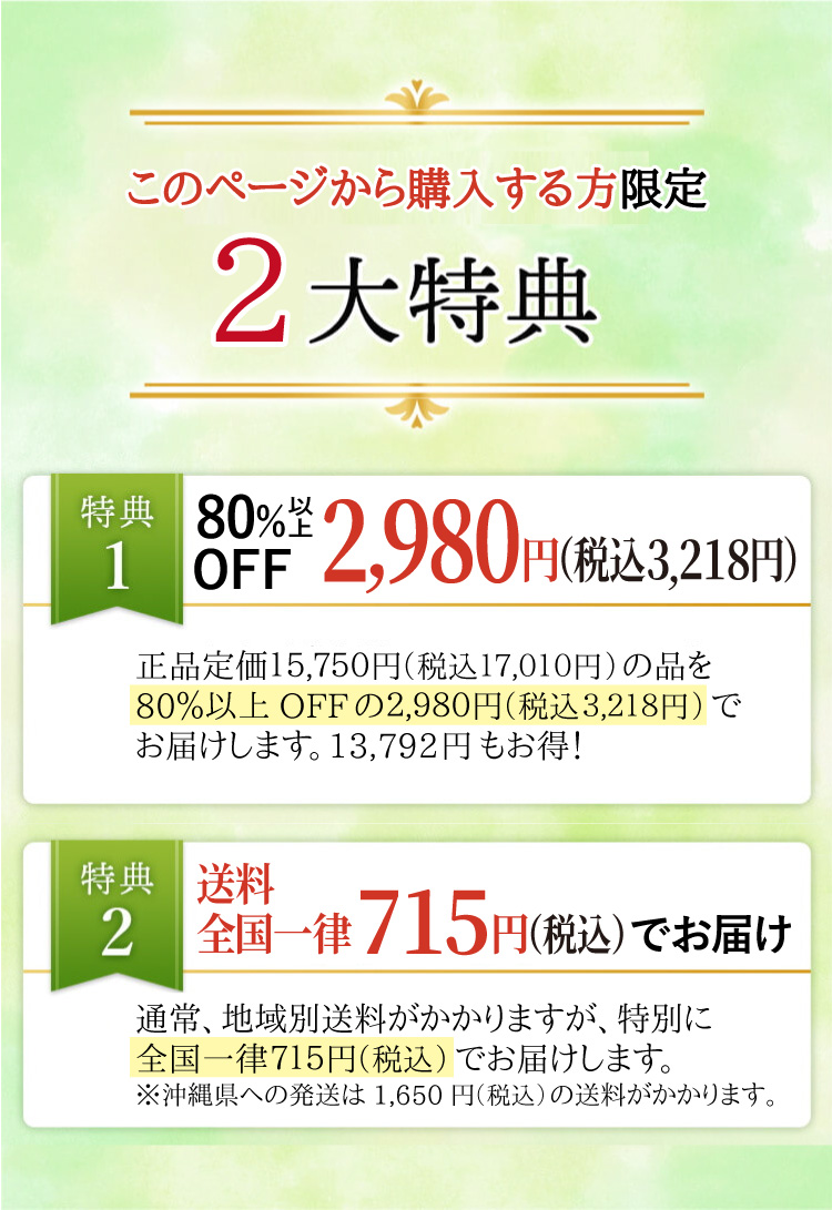 初めての方限定2大特典！80％以上OFFの2980円！送料全国一律715円※沖縄を除く