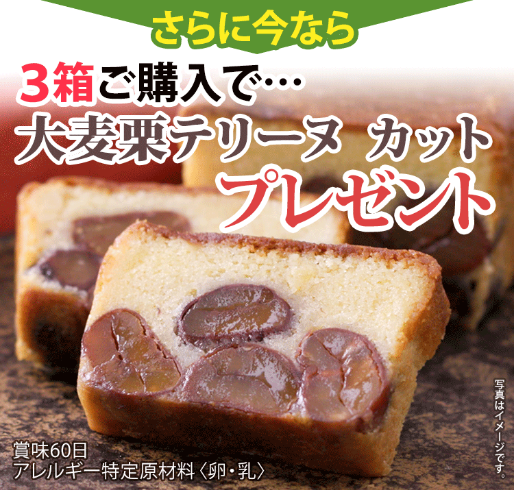 大麦栗テリーヌカットプレゼント