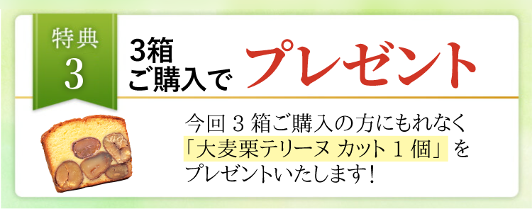 栗テリーヌプレ