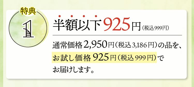 特別価格