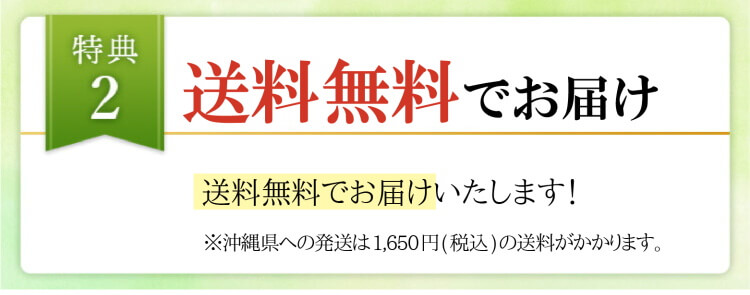 送料無料