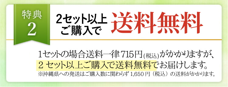 送料無料