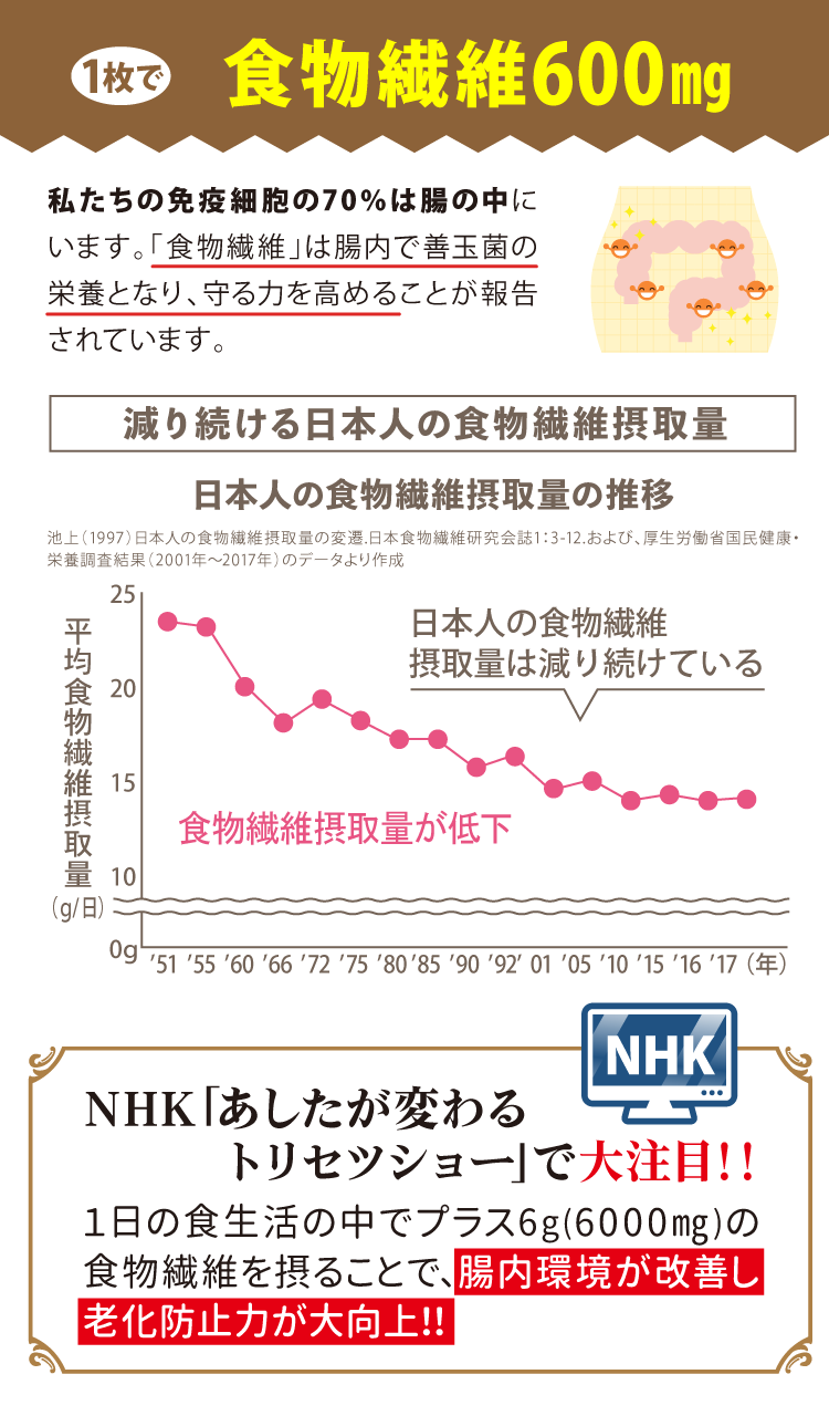 1枚に食物繊維600ミリグラム配合