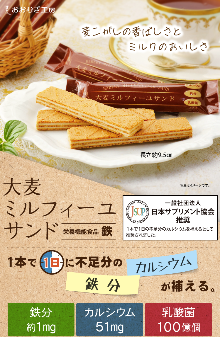 一般社団法人日本サプリメント協会推奨の大麦のお菓子。1本で1日に不足分の鉄分・カルシウムが補える!