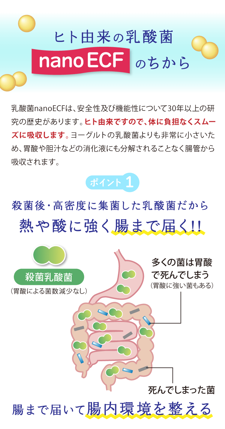 1本に乳酸菌100億個配合