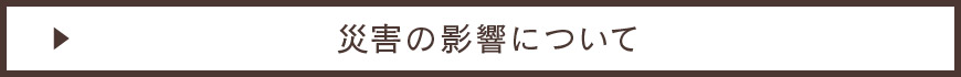 災害の影響について